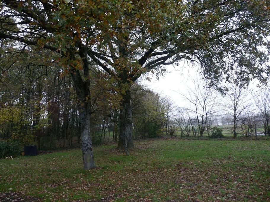 Charmante Maison En Campagne Grand-Fougeray Экстерьер фото